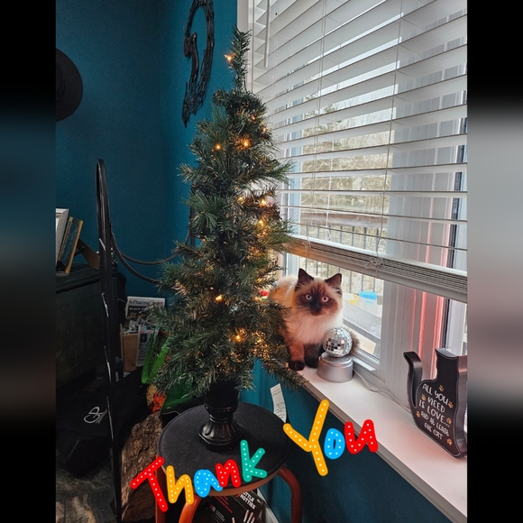 Bundle for Marlene ๐โจ๏ธ - Picture 1 of 11